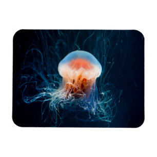Jellyfish Underwater - Mörk Glow Magnet