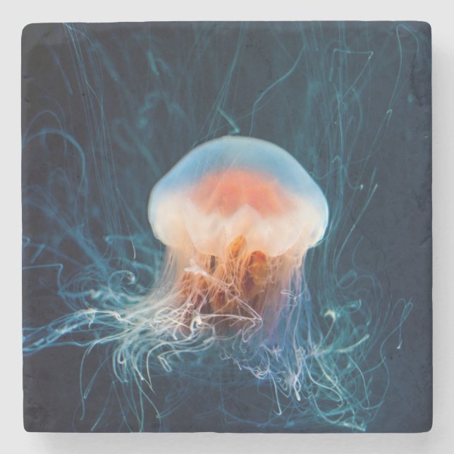 Jellyfish Underwater - Mörk Glow Stenunderlägg (Framsidan)