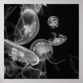Jellyfish Underwater Poster