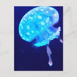 Jellyfish Vykort