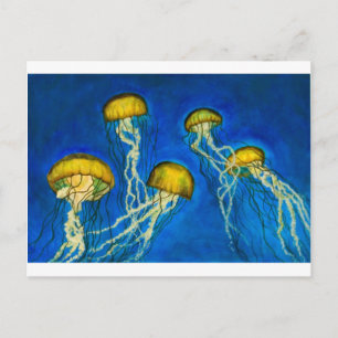 Jellyfish Vykort