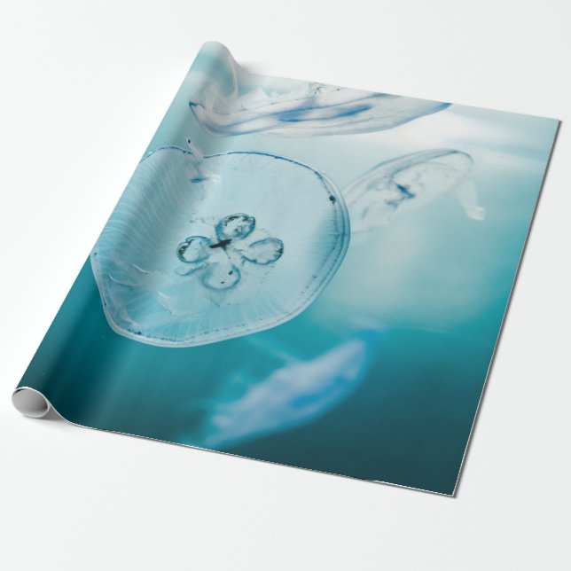 JELLYFISHES UNDERVATTEN PRESENTPAPPER (Utrullad)