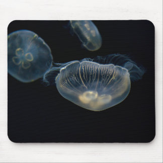 Jellyfisk, havsgelé, djur musmatta