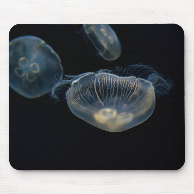 Jellyfisk, havsgelé, djur musmatta (Framsidan)