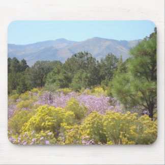 Jemez berg musmatta