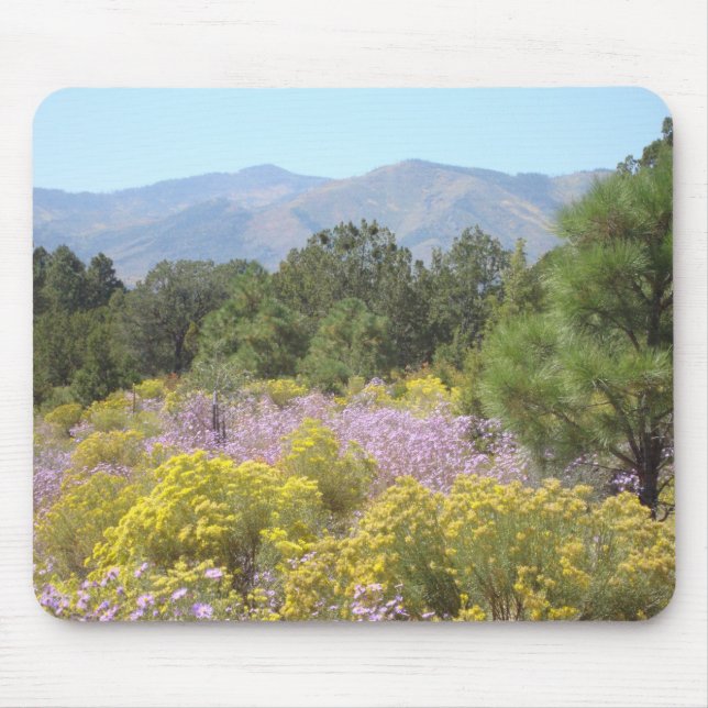 Jemez berg musmatta (Framsidan)
