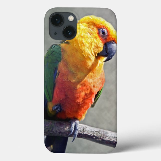 Jenday Conure iPad-fodral (Baksida)