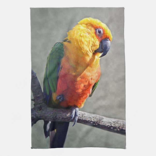 Jenday Conure kökshandduk (Vertikal)