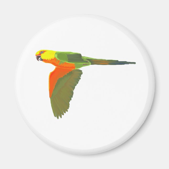 Jenday Conure Magnet (Framsidan)
