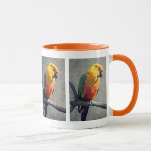 Jenday Conure-mugg Mugg