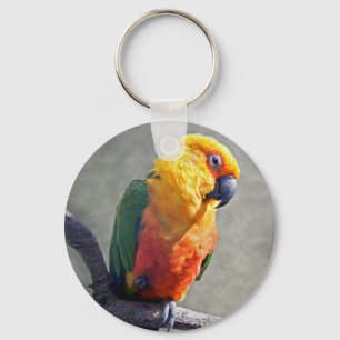 Jenday Conure nyckelring