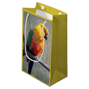 Jenday Conure-presentväska