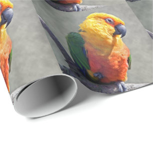Jenday Conure Wrapping Papper Presentpapper