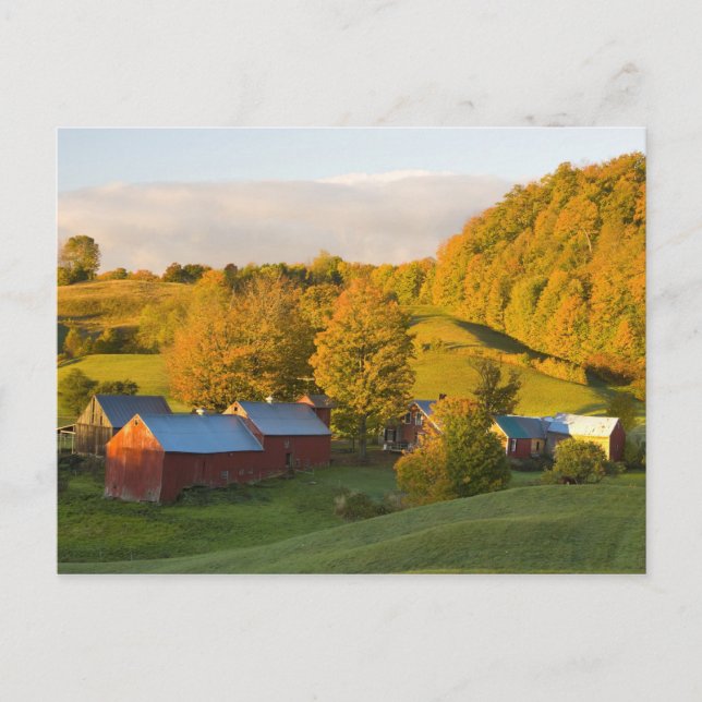 Jenne Farm i Woodstock, Vermont. Höst. 2 Vykort (Framsida)
