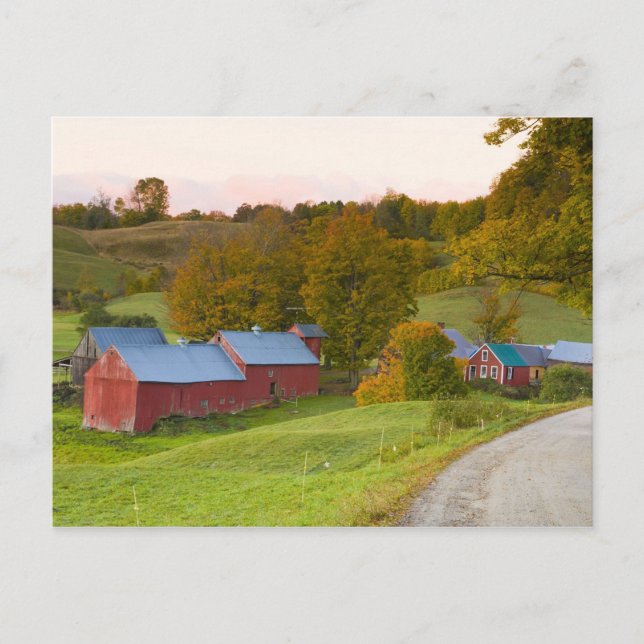 Jenne Farm i Woodstock, Vermont. Höst. Vykort (Framsida)