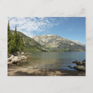 Jenny Lake vid Grand Teton National Park Vykort
