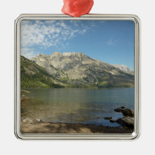 Jenny Sjö vid Grand Teton nationalpark Julgransprydnad Metall
