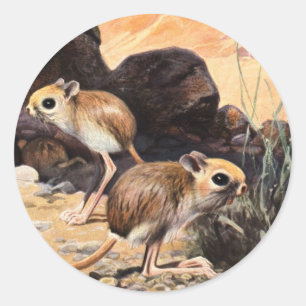 Jerboa Tees och Gifts Runt Klistermärke