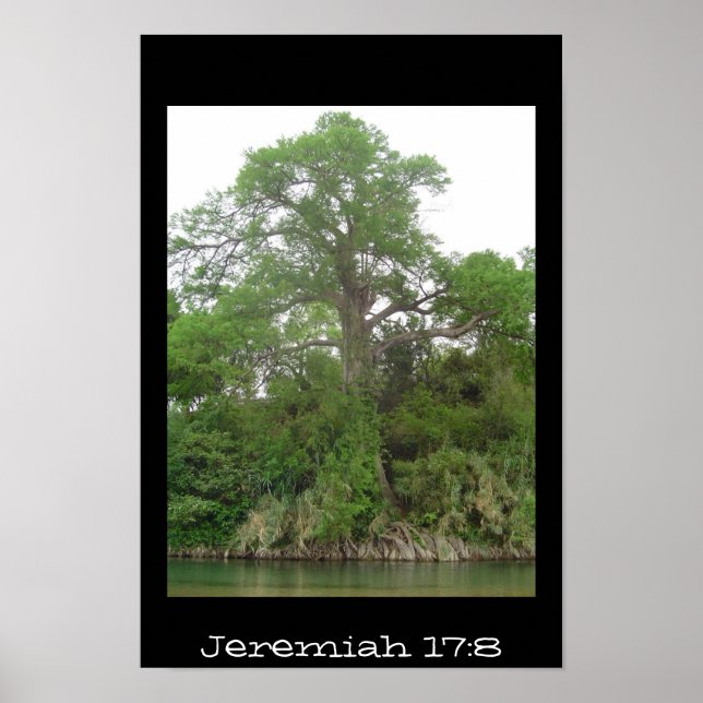 Jeremiah 17:8 poster (Framsidan)