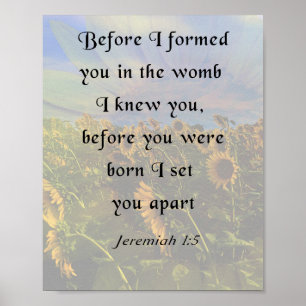 Jeremiah 1:5, inspirationsbibel Verse Poster