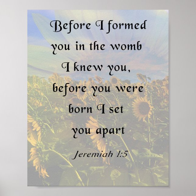 Jeremiah 1:5, inspirationsbibel Verse Poster (Framsidan)