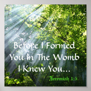 JEREMIAH 1:5 - SKOGEN POSTER