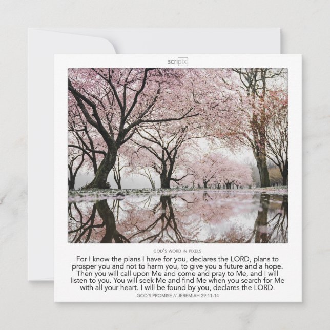 Jeremiah 29:11-14 GOD'S PROMISE SCRIPIX Inbjudningar (Framsida)
