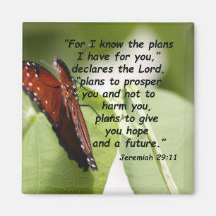 Jeremiah 29:11 (2) magnet