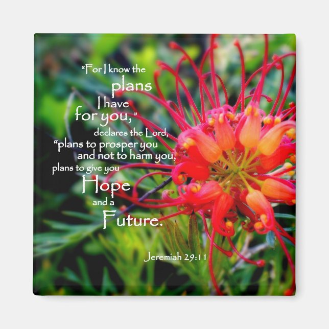 Jeremiah 29:11 A Hope and a Future Magnet (Framsidan)