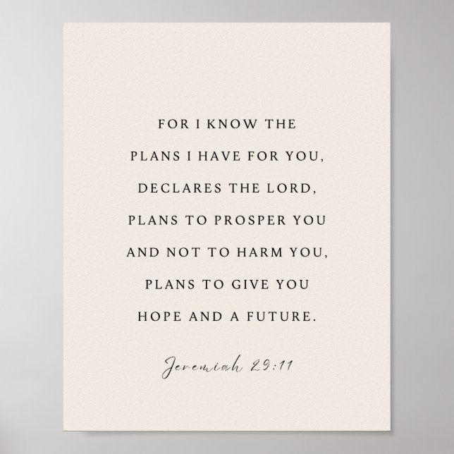 Jeremiah 29:11 For I know the plans Poster (Framsidan)