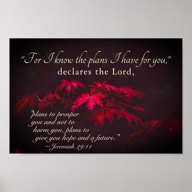Jeremiah 29:11 För jag vet vilka planer jag har fö Poster (Framsidan)