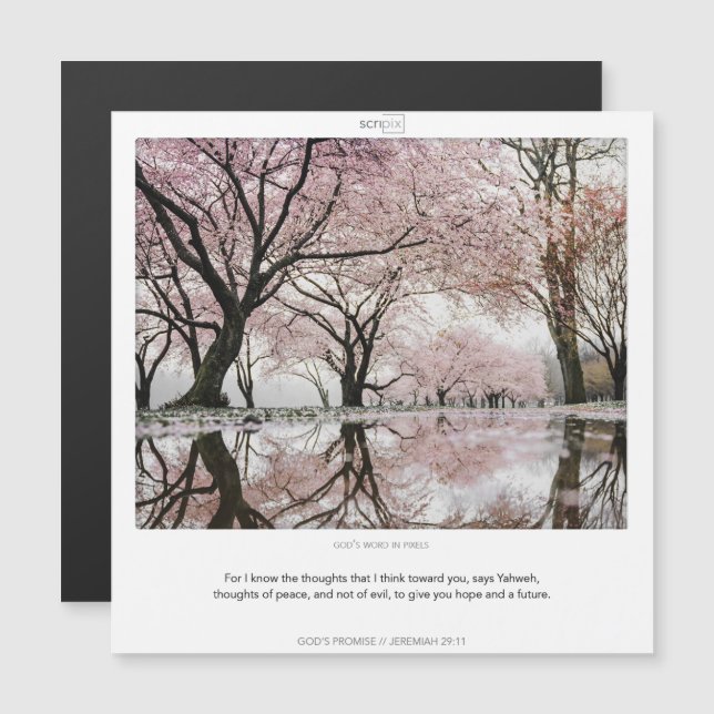 Jeremiah 29:11 GOD'S PROMISES SCRIPIX magnet card (Fram/baksida)