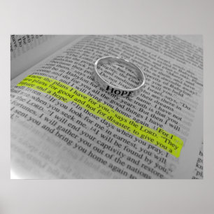 Jeremiah 29:11 - hopp poster