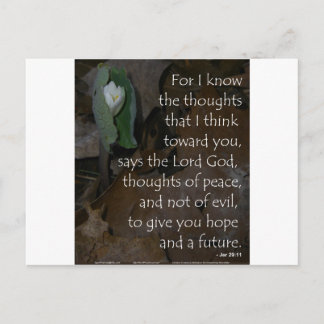 Jeremiah 29:11 hoppas på framtiden vykort