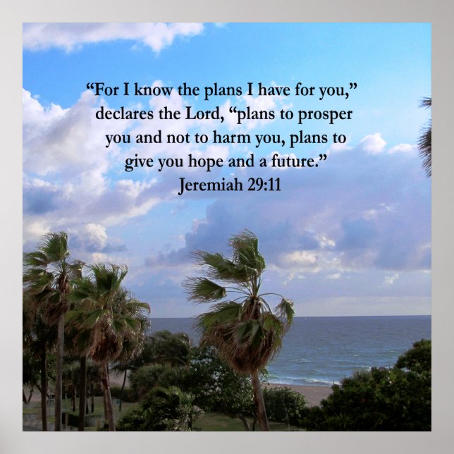 JEREMIAH 29:11 INSPIRATIONAL VERSE POSTER (Framsidan)