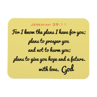 Jeremiah 29:11 Magnet