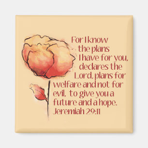 Jeremiah 29:11 Magnet - För jag vet planerna...