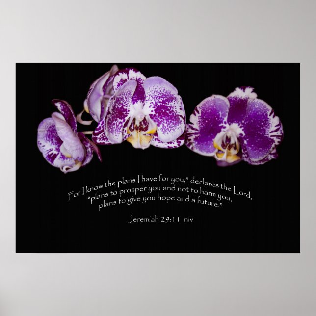 Jeremiah 29:11 poster (Framsidan)