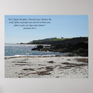 Jeremiah 29:11 poster