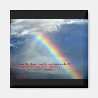 Jeremiah 29:11 Regnbåge Magnet