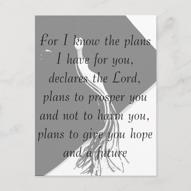 Jeremiah 29:11 Studenten vykort (Framsida)