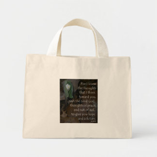 Jeremiah 29:11 Tiny Tote Mini Tygkasse