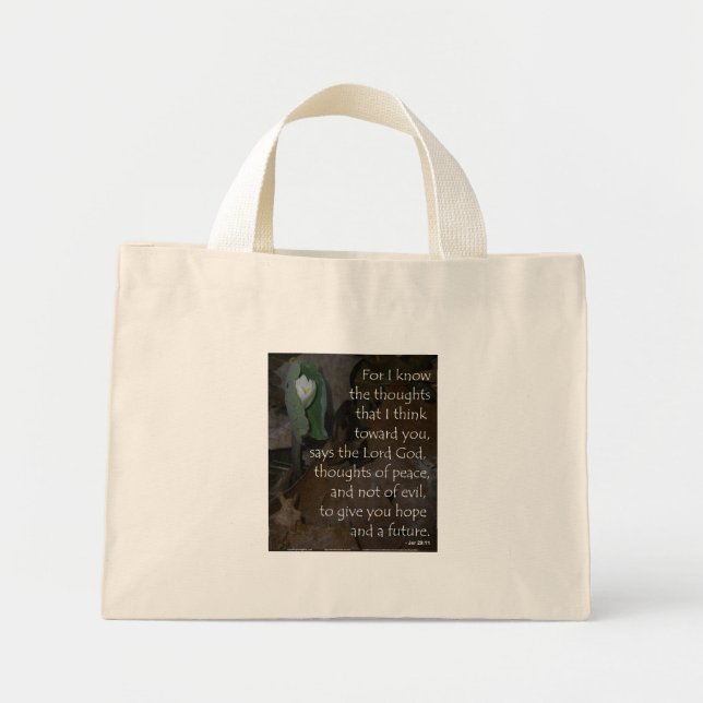 Jeremiah 29:11 Tiny Tote Mini Tygkasse (Framsidan)