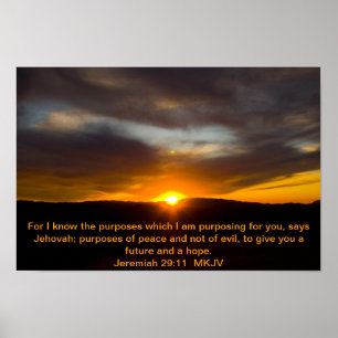 Jeremiah 29:11affisch poster