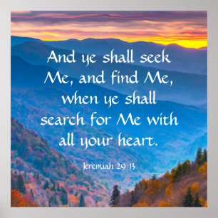 Jeremiah 29:13 poster