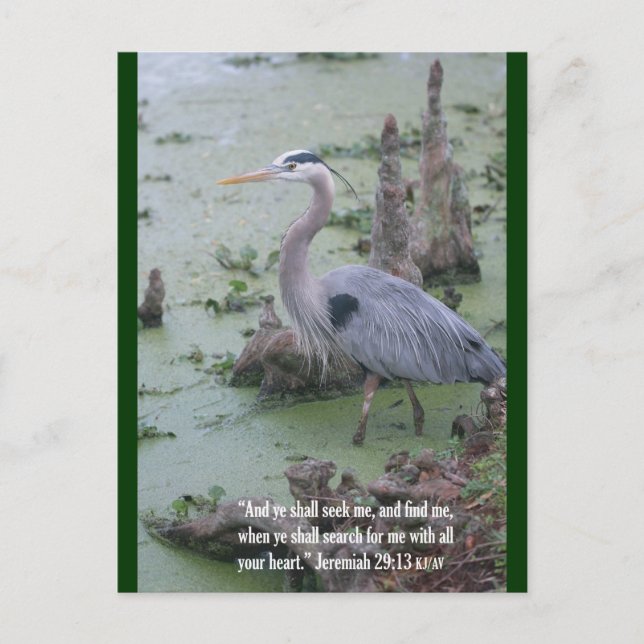 Jeremiah 29:13 Postkort för skript Vykort (Framsida)