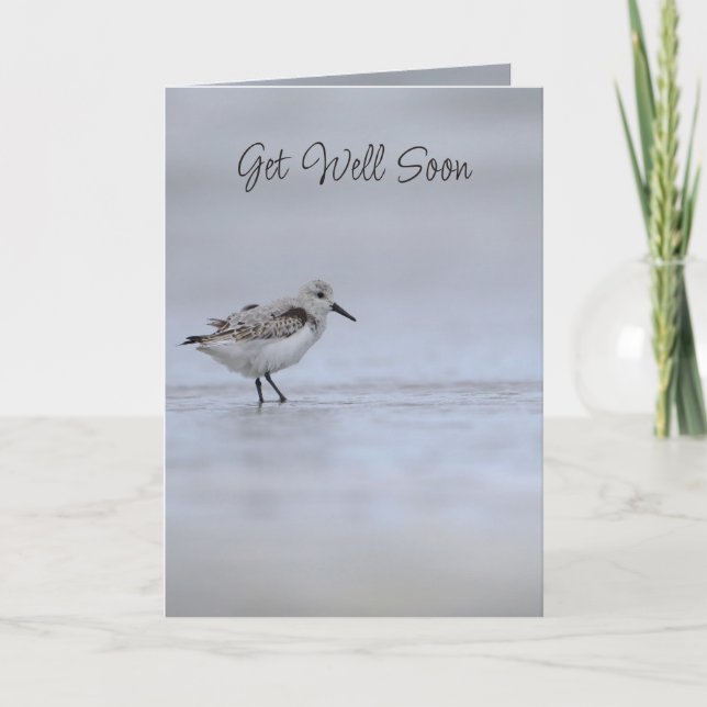 Jeremiah 33:3 Call to Me Bible Verse Wren Bird Kort (Framsida)