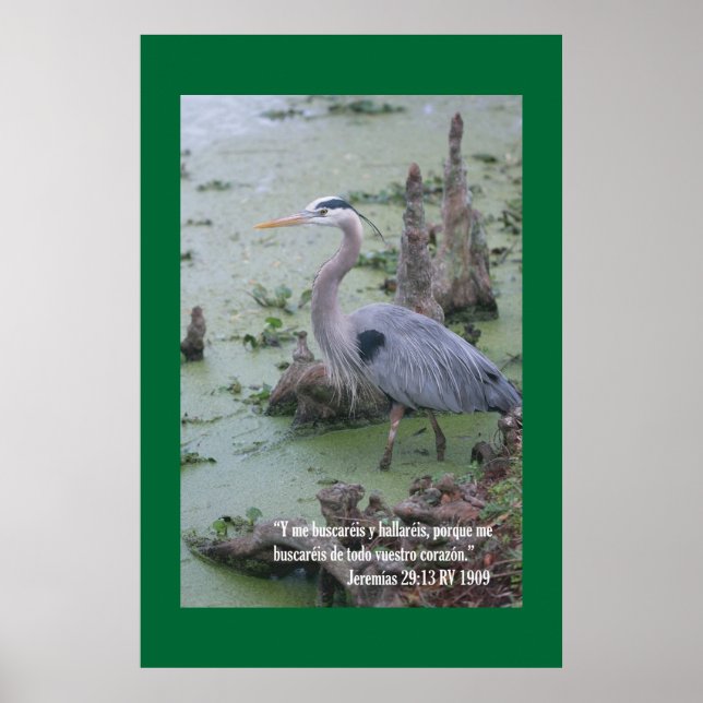 Jeremias 29:13 Kartell Poster (Framsidan)