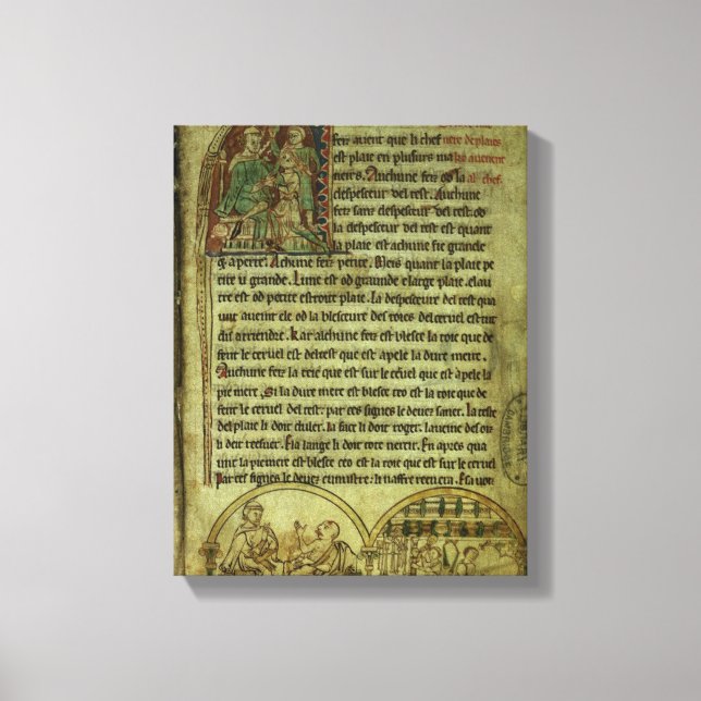 Jerome: A doktor besöker en patient Canvastryck (Framsida)