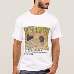 Jerry & Garcia koppla av - Springfield, MORSOR USA T Shirt